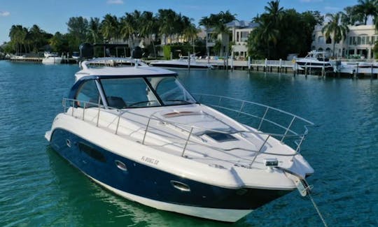 Luxury and Comfort at it's finest Chaparral 400 premiere for rent in Miami
