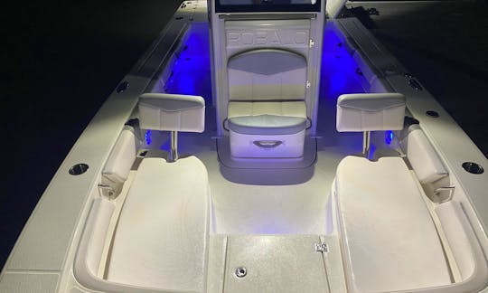 Rent Robalo 246 Cayman Center Console in Belleair, Clearwater, IRB, Dunedin or Maderia