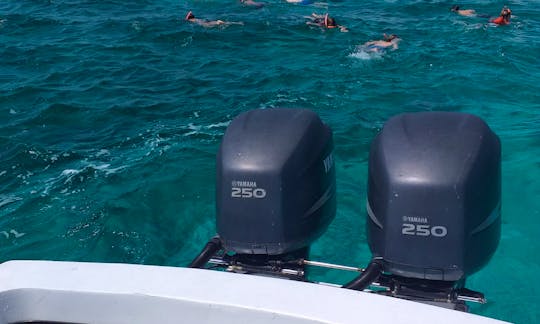 Power boat seats 12 persons