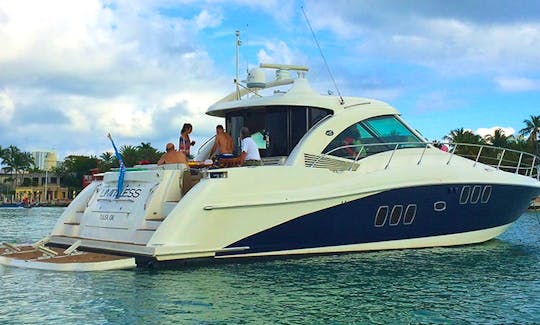 61ft Premier Sea Ray Motor Yacht Charter in Chicago, Illinois
