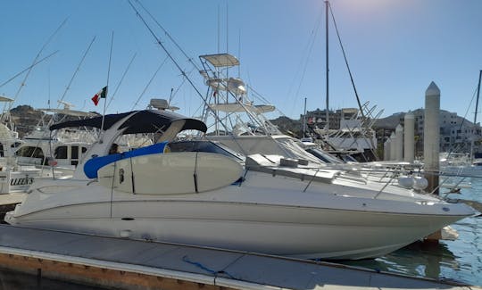 32ft S.R.Sundancer Motor Yacht Rental in Cabo San Lucas, Baja California Sur