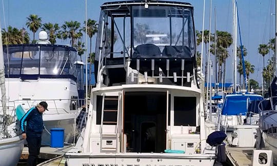 Rent 38’ Luhrs Yacht - Sunset Cruise in San Diego, California