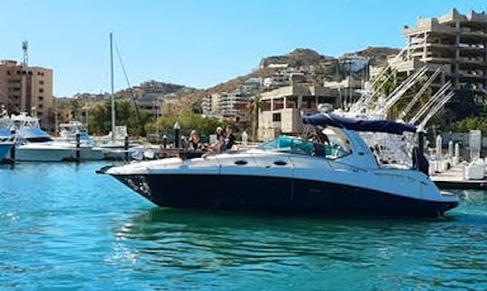 Cool¡ 37 Ft Sundancer Motor Yacht Charter in Cabo San Lucas, Baja California Sur