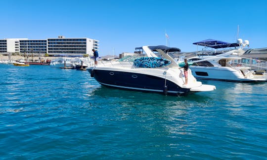 37ft Maxum Yacht for Amazing Charter in Cabo San Lucas