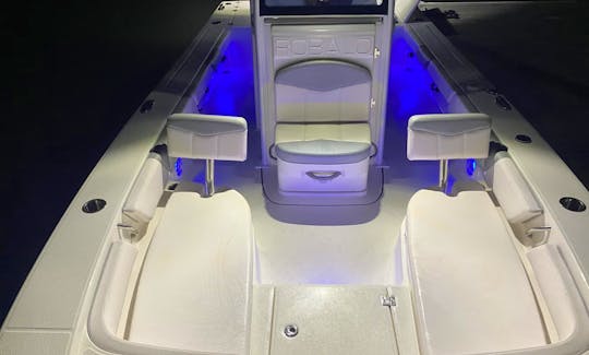 Robalo 246 Cayman Center Console Rental in Clearwater, Florida