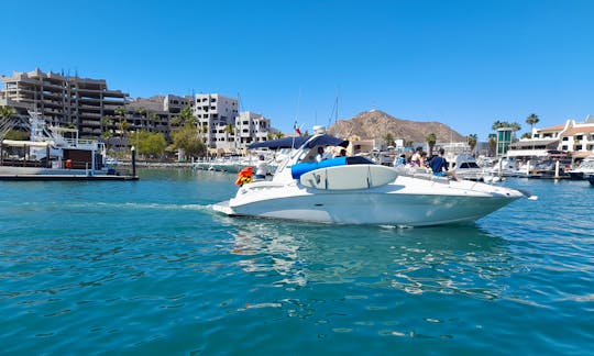 32ft S.R.Sundancer Motor Yacht Rental in Cabo San Lucas, Baja California Sur
