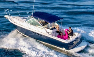 Luxury San Diego Boat Excursions! Harbor or Coastal! Mission bay, La Jolla!
