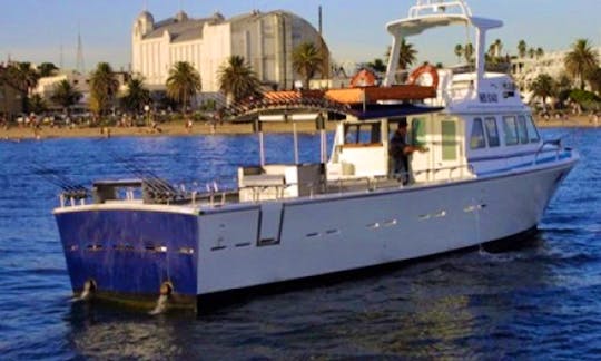 Hire 55' Flybridge Cruiser Fishing Charter Cairns Marlin Marina