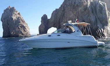 Nice Sea Ray 32ft Sundancer Yacht in Cabo San Lucas