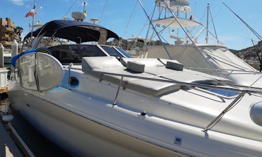 Nice Sea Ray 32ft Sundancer Yacht in Cabo San Lucas