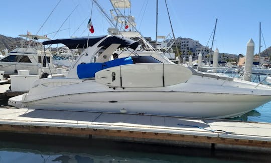 Nice Sea Ray 32ft Sundancer Yacht in Cabo San Lucas