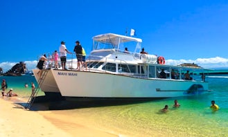 Dolphin & Snorkel Cruise to Moreton Bay