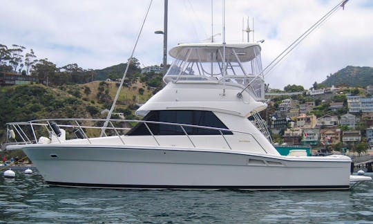 Beautiful 36’ Rivera Yacht Charter in San Diego