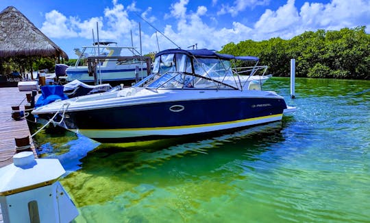 27ft Regal in Cancún - Wakeboard - towable tube