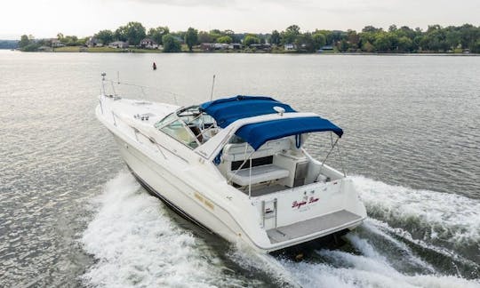 Voyagez avec style à bord de ce magnifique cabin-cruiser de 33 pieds !