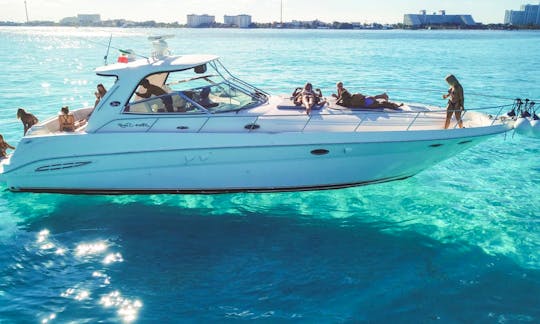 Sea Ray 46' Spring Break Party Yacht ! OPEN BAR & DJ