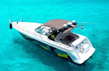 Sea Ray 46' Spring Break Party Yacht ! OPEN BAR & DJ