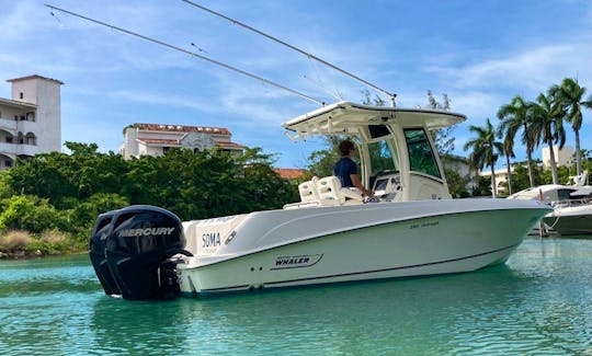 NICE !!!  2017 Boston whaler outrage 25 ft