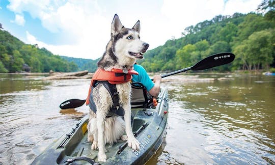 Picnic and Paddle Kayak Trip in Barrow upon Soar