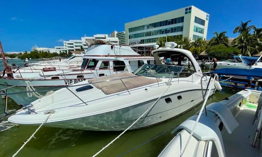 35' Sea Ray Motor Yacht Charter in Cancún