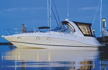 Luxury Awaits: 37' Four Winns 348 Vista Yacht with Gas & Lily Pad!