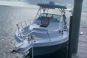 Amazing Snorkel with Turtles aboard 32” Proline Center Console