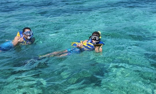 Amazing Snorkel with Turtles aboard 32” Proline Center Console