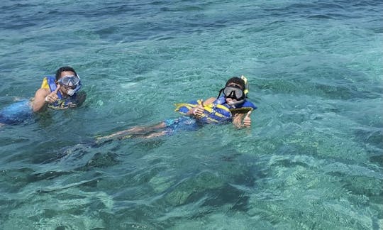 Amazing Snorkel with Turtles aboard 32” Proline Center Console