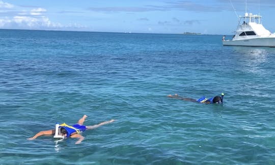 Excursão de 32” pela ilha Proline 4 com snorkeling