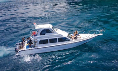 Buceo con mantarrayas en Bali. Precio inicial para el alquiler del barco.