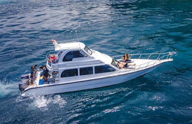 Scuba Diving with Manta Rays in Bali from the Flybridge Boat. Price per person for sharing boat.