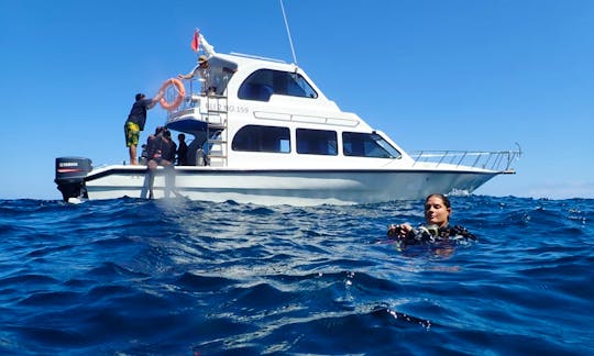 Scuba Diving with Manta Rays in Bali from the Flybridge Boat. Price per person for sharing boat.