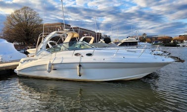 Charter the 34ft Sundancer Motor Yacht in Washington,  DC