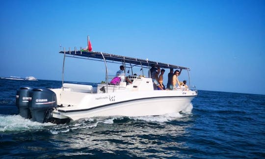 Sapphire Marine 36' Dolphin Watching & Snorkeling in Muscat, Oman