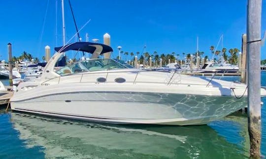 Searay 40ft Motor Yacht Rental in Miami Beach, Florida
