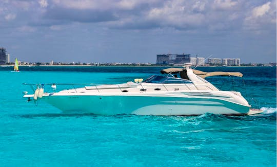 SEA RAY 45 FT-MV-UP TO 15 PAX NAVIGATE MEXICO