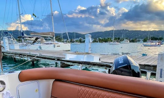 30ft SeaRay Sundancer Crusier for rent in Montego Bay