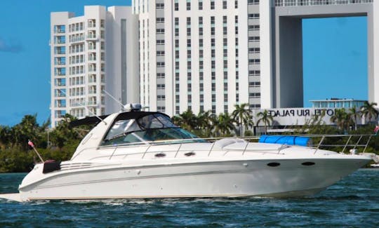 42ft Sundancer Motor Yacht - SNSS - Up To 15 People In Cancún, Quintana Roo