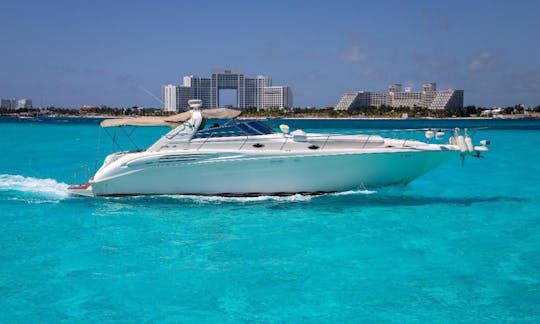 45 FT - SEA RAY SUNDANCER - MV - UP TO 15 PAX