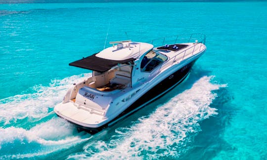 44 FT - SEA RAY SUNDANCER - HBB - UP TO 15 PAX CANCUN, MEXICO