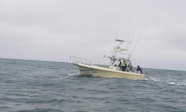 Fishing Charters in Carolina Beach, North Carolina