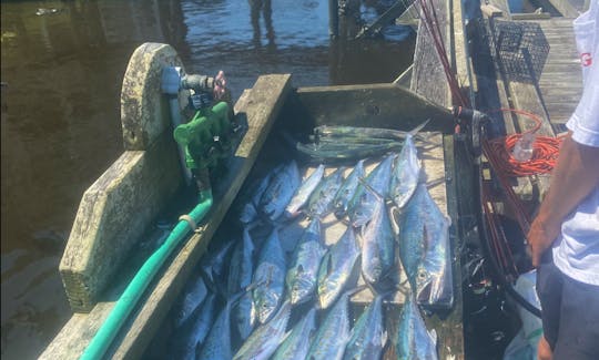 Fishing Charters in Carolina Beach