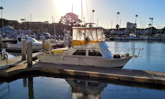 Fishing Charter in Oceanside, California aboard 34ft Radovich Sportfisher Yacht!