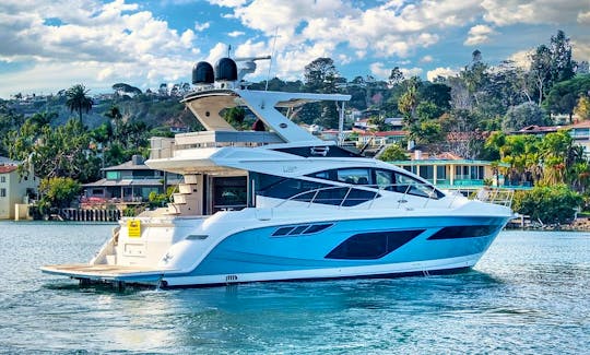 Beautiful Sea Ray L55 Motor Yacht Charter in Nuevo Vallarta