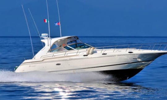 Elegant Cruiser 44 Motor Yacht Ready to Explore Puerto Vallarta