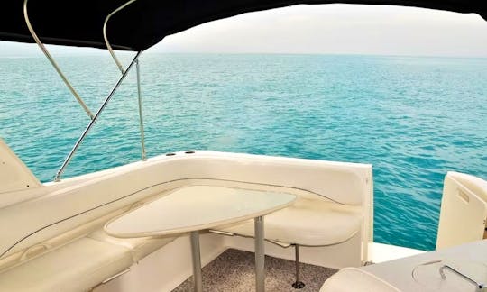 Beautiful Bayliner 34 Motor Yacht for rent in Puerto Vallarta