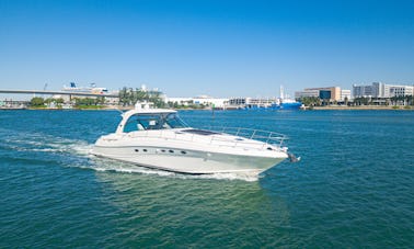 Experience the City of Sun from our boat! Book the Searay Sundancer 540 Yacht 
