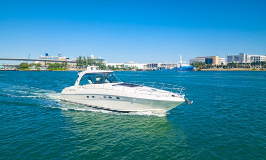 Enjoy the beautiful city of the sun out on the water with family and friends on our Luxury Motor Yacht 54’ Sea Ray Sundancer as LOW as $300.00 per hour.