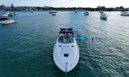 Sea Ray Sundancer 40' Yacht in Miami