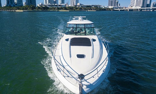 Enjoy the beautiful city of the sun out on the water with family and friends on our Luxury Motor Yacht 54’ Sea Ray Sundancer as LOW as $300.00 per hour.